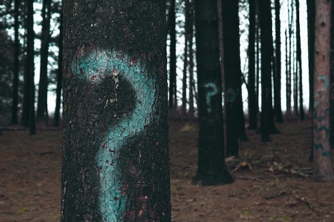 Life Insurance Tree